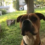 Nicholas Wade Snider - @gingy_glass - Instagram