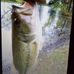 Wade Snoddy - Facebook