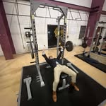 Wade Springer - @wadelspringer - Instagram
