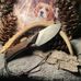 Wade Spurlock - Facebook