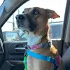 wade_stafford - @wade_stafford - TikTok