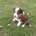 Wade Steele - Facebook
