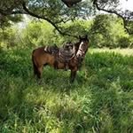 Wade Steinmann - @wadesteinmann - Instagram