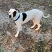 Wade Stoddard - Facebook