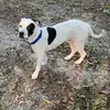 Wade Stoddard - @wade.stoddard8 - TikTok
