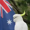 wanderingfellow - @wandering_fellow - TikTok