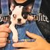 Woody Stringfellow - Facebook
