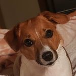 Ann Wade Stump - @edressannwade - Instagram