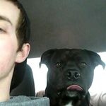 Wade Sullivan - @wade.sullivan.3386 - Instagram