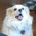 Wade Sullivan - Facebook