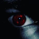 Wade Sullivan - @wadesullivan147 - Instagram