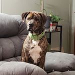 Wade Sullivan - @chaz5280 - Instagram