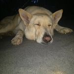 Wade Sutton - @_wade_sutton_ - Instagram