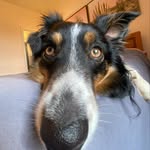 Rooger Wade Sweet - @roogthegoob - Instagram