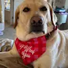 stephanywadetate - @stephanywadetate - TikTok