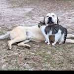 Wade Tate - @wade.tate.0705 - Instagram
