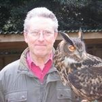 Terry Wade - @terrywade73 - Instagram