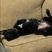 Wade Townsend - Facebook