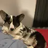 Wade - @wadetravels - TikTok
