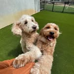 Wade & Tucker - @wadentucker - Instagram