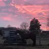 Wade_tucker03 - @wade_tucker03 - TikTok