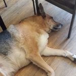 Wade Tyler - @wade.tyler.125 - Instagram