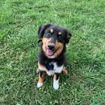 Wade Utley - @wade.utley - Instagram