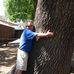 Wade Vernon - Facebook
