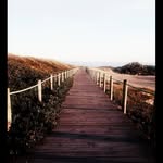 Vincent Wade - @vincentwade123 - Instagram