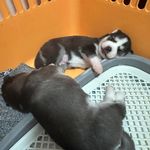 Wade Wade - @wade.yang - Instagram