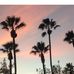 Wade Wallace - Facebook