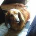 Maj-Stina Wadenstein - Facebook