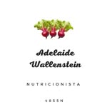 Nutricionista_Adelaide wallenstein - @nutriadelaidewallenstein - Instagram