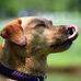Wade Weber - Facebook