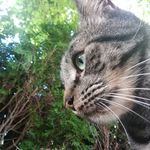 wade - @weird_wade - Instagram