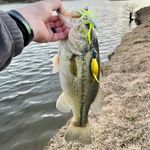 Wade Werner - @thunderrocketlures - Instagram