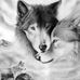 Wade Whitcomb - Facebook