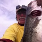 Wade Wiggins - Facebook