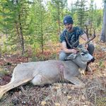 Stephen Wade - @wadewilderness - Instagram