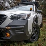 Wade_In_The_Wilderness - @wade_in_the_wilderness - Instagram