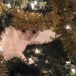 wade wayland wilder - @wade_40 - Instagram