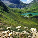 Wilder - @wilder_wade_ws68 - Instagram