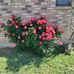 Winn Wade - Facebook