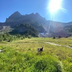 Wade Winters - @winterswade - Instagram