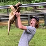 Wade Wise - @the_hashslinginslasher - Instagram