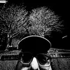 wade wiseman - @wadewiseman - TikTok