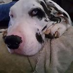 Wade Witt - @wadester61 - Instagram
