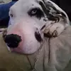Wade Witt - @wade.witt - TikTok
