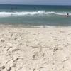 Wade_Wolfe - @user759392885477181 - TikTok