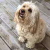 Wade DeWolfe - @wadedewolfe - TikTok
